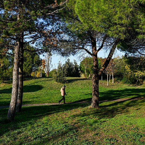 Le Parc Condorcet, un coin de nature à révéler